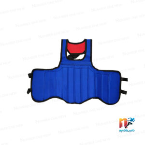 هوگو ووشو ساندا برزنتی