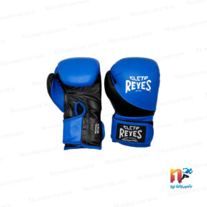 دستکش بوکس چرم REYES